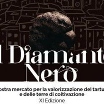 Il diamante nero di Scheggino